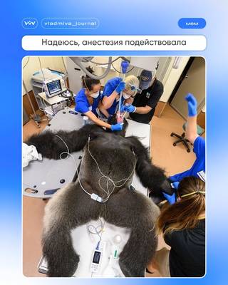 Мем